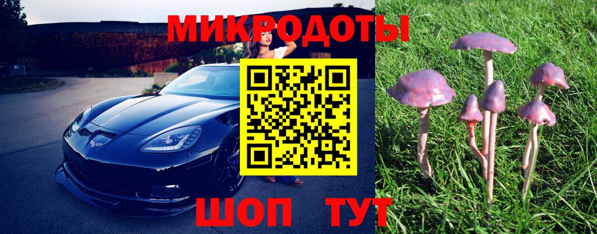 Галлюциногенные грибы прущие грибы  Галлюциногенные грибы Magic Shrooms  Вход с VPN  Славгород 