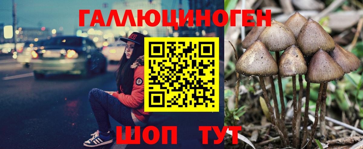 Псилоцибиновые грибы MAGIC MUSHROOMS Славгород